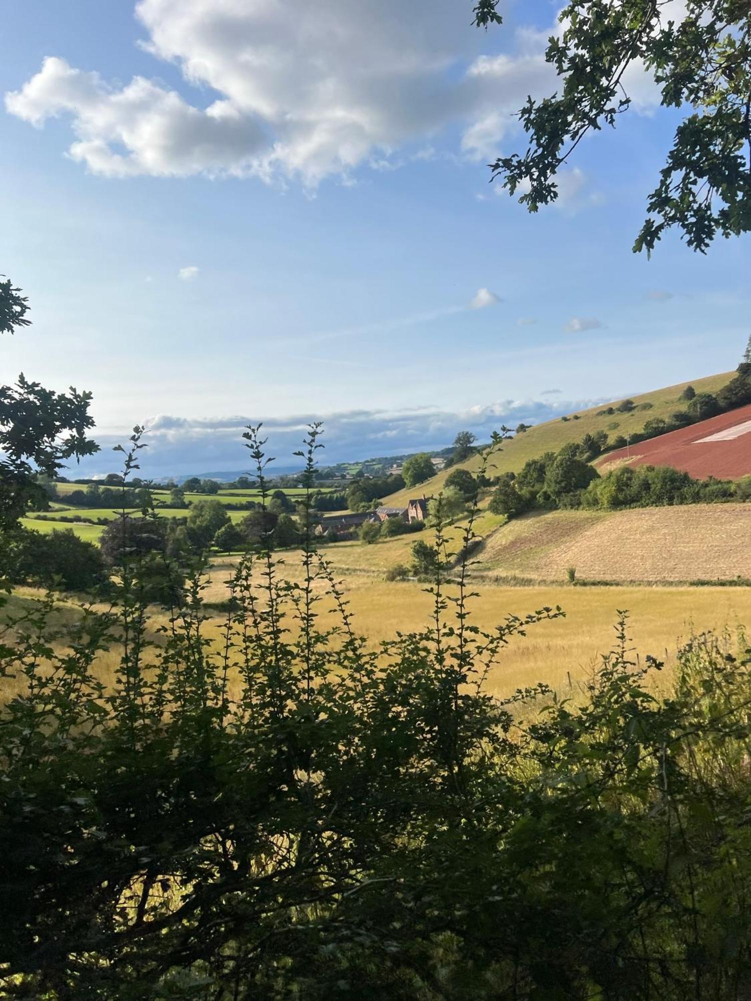 Countryside Converted Barn With Hot Tub Newton Abbot Exteriör bild